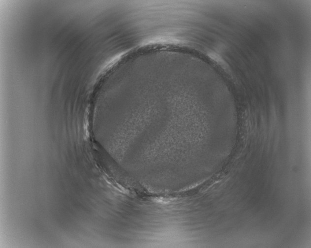 X0000061760872200512161741