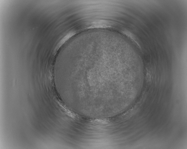 X0000061760874200512161741