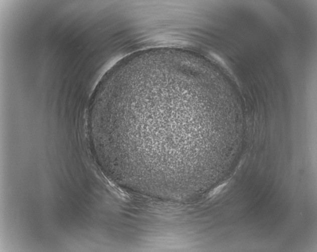 X0000061760875200512161741