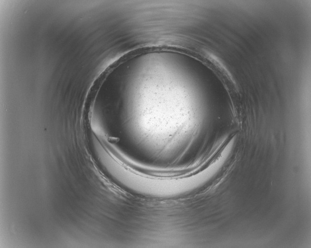 X0000061760876200512161741