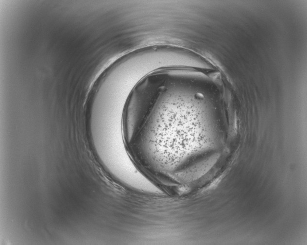 X0000061760877200512161741