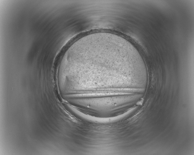 X0000061760878200512161740