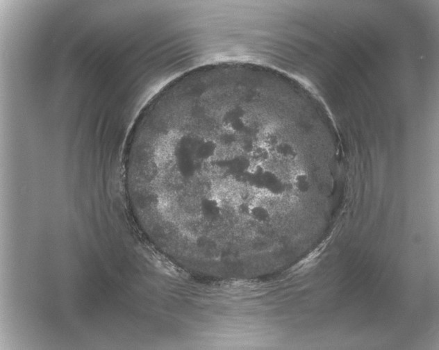 X0000061760879200512161740