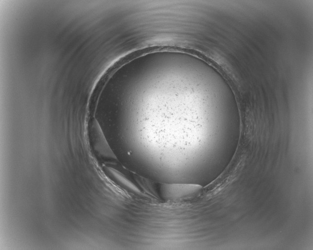 X0000061760880200512161740