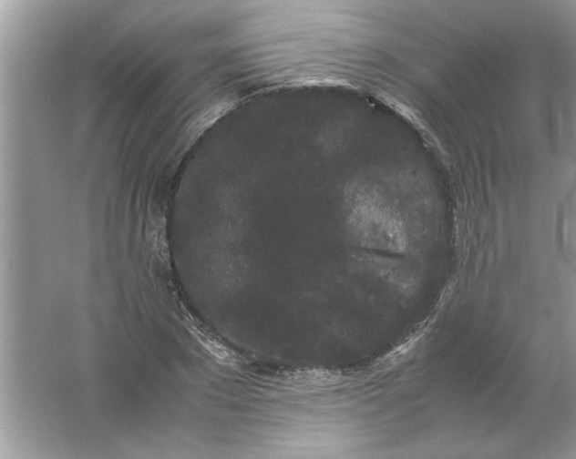 X0000061760881200512161740