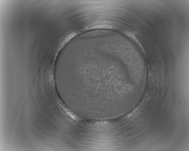 X0000061760882200512161740