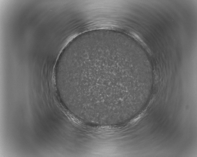 X0000061760883200512161740