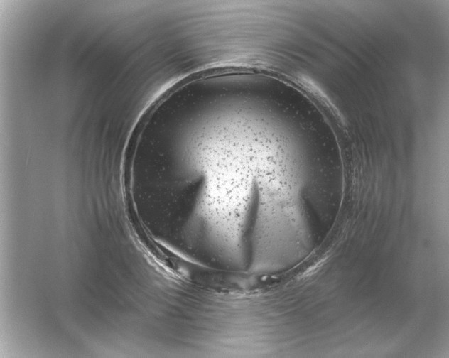 X0000061760884200512161740