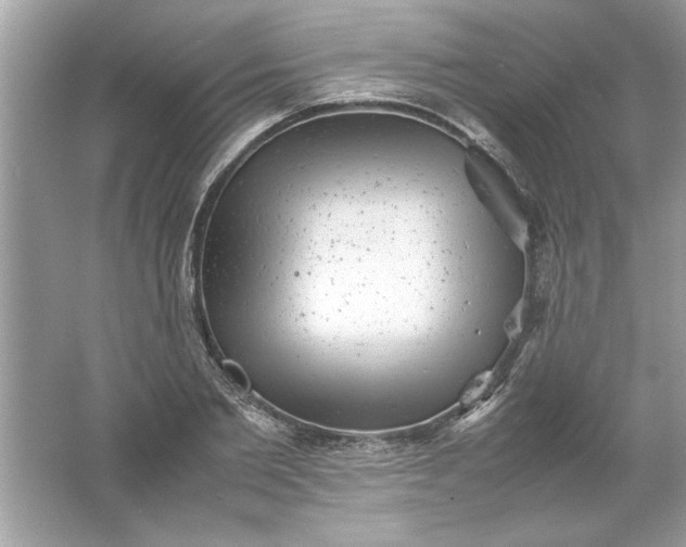 X0000061760885200512161740