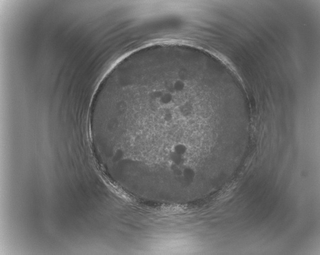 X0000061760887200512161740