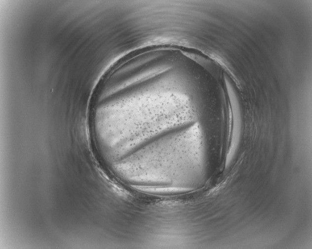 X0000061760888200512161740