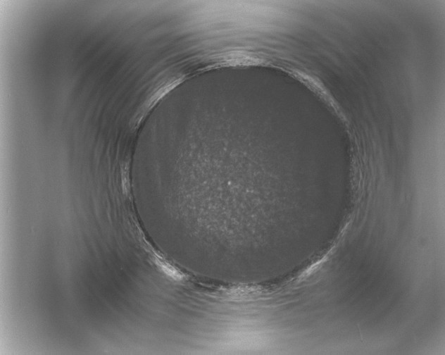 X0000061760889200512161740