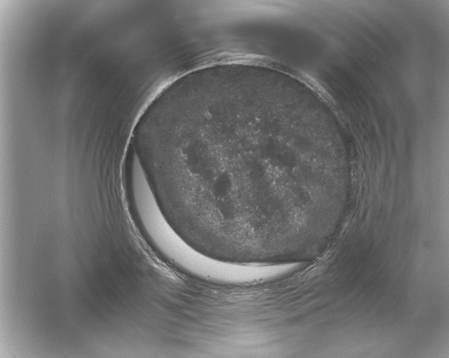 X0000061760891200512161740