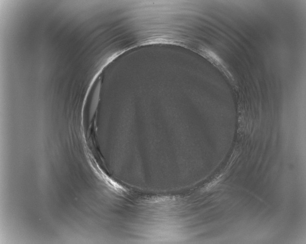 X0000061760892200512161740