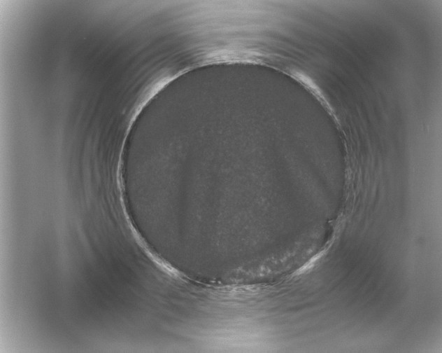 X0000061760893200512161740