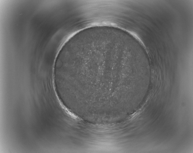 X0000061760895200512161740