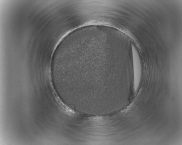 X0000061760896200512161740