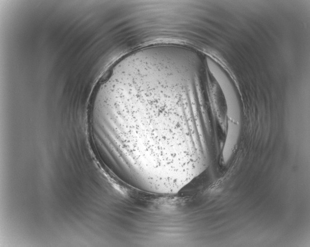 X0000061760898200512161740