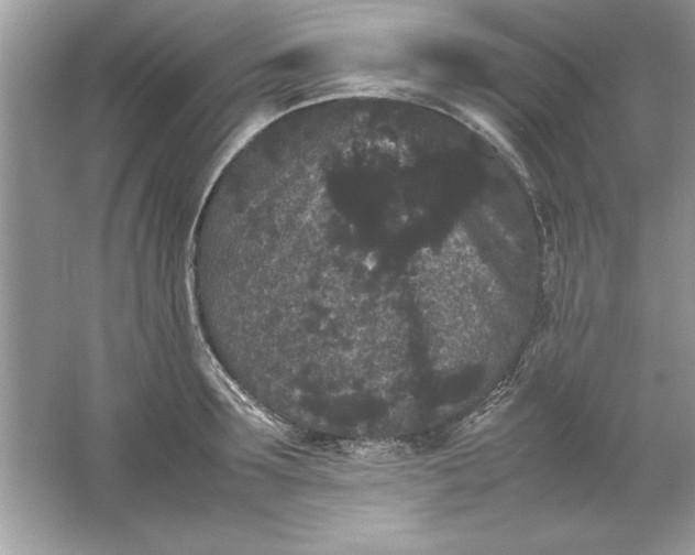 X0000061760899200512161740