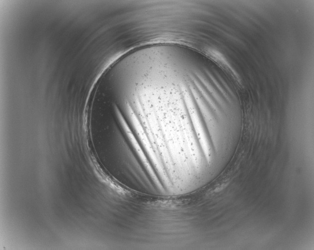 X0000061760900200512161740