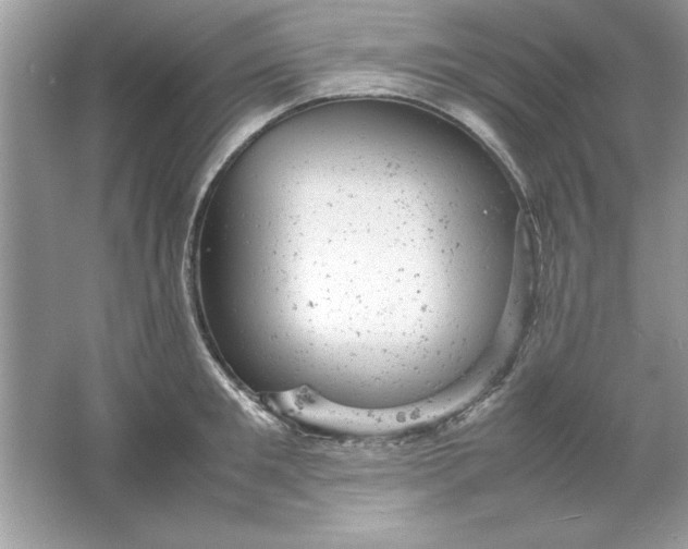 X0000061760901200512161740