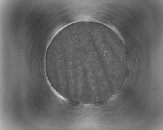 X0000061760903200512161740