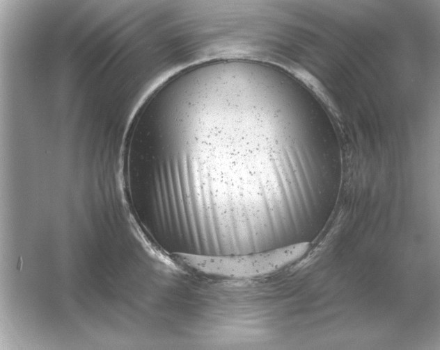 X0000061760904200512161740