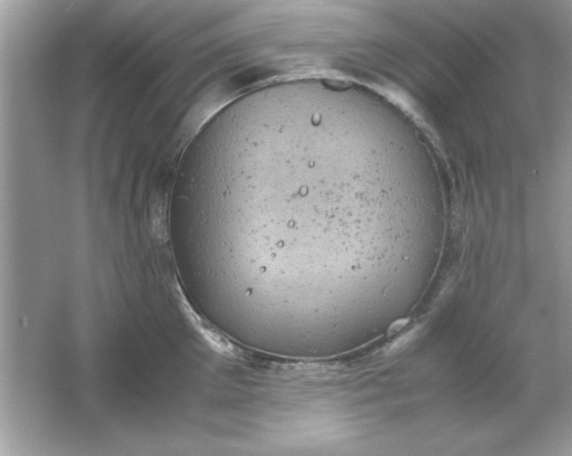 X0000061760905200512161740