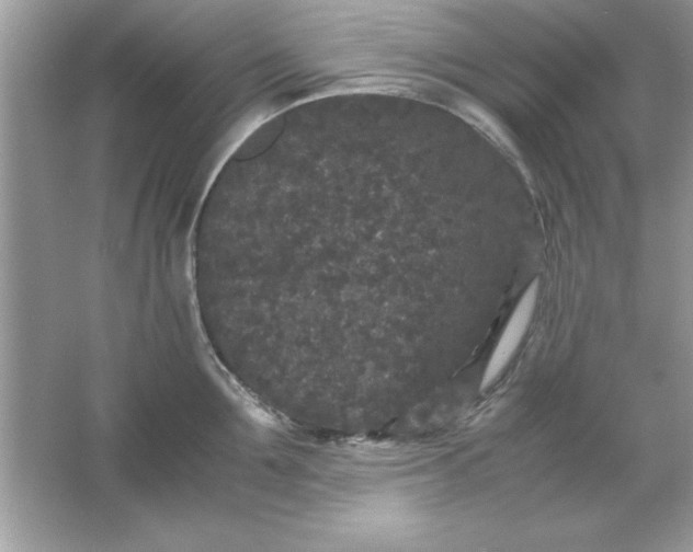 X0000061760907200512161740