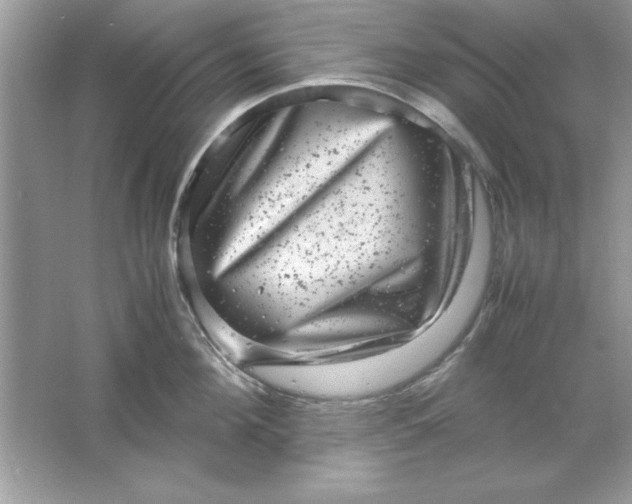 X0000061760908200512161740