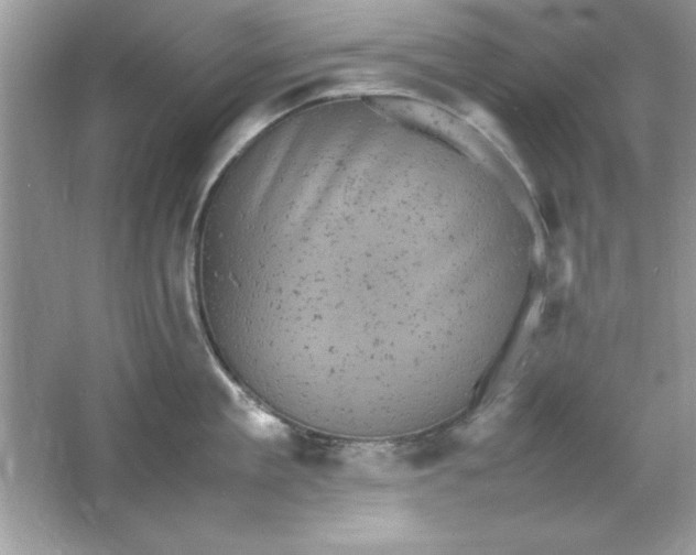 X0000061760909200512161740