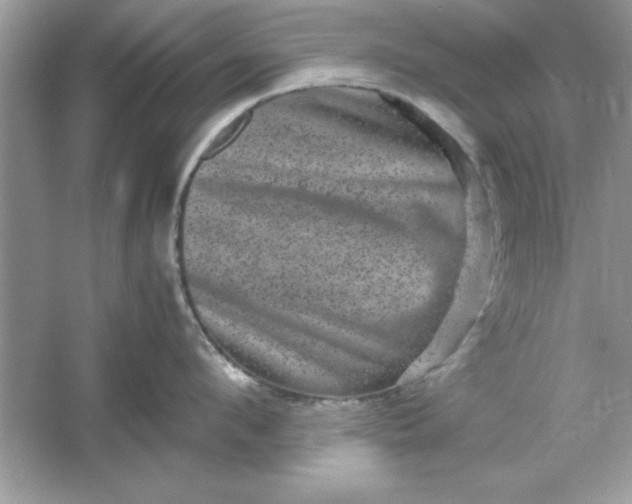 X0000061760912200512161740