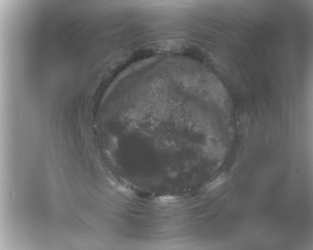 X0000061760913200512161739