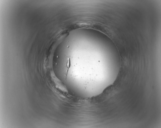 X0000061760914200512161739