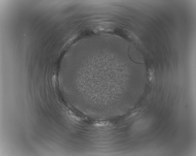 X0000061760915200512161739