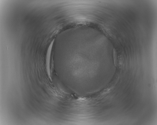 X0000061760916200512161739