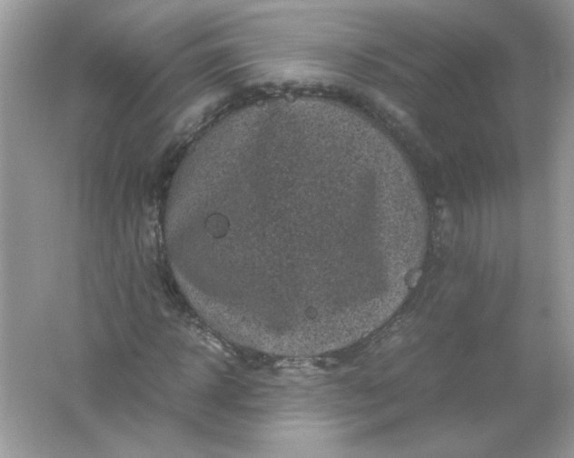 X0000061760918200512161739