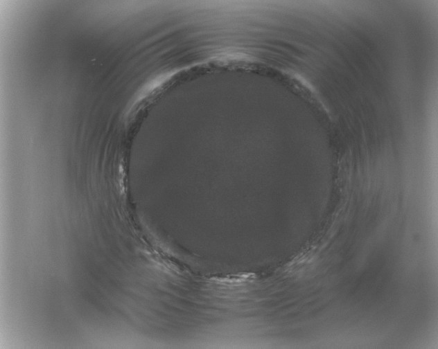 X0000061760919200512161739