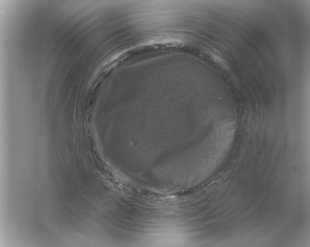 X0000061760920200512161739