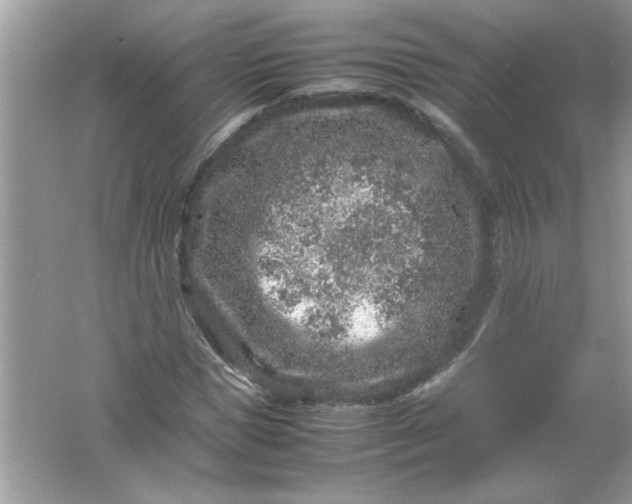 X0000061760921200512161739