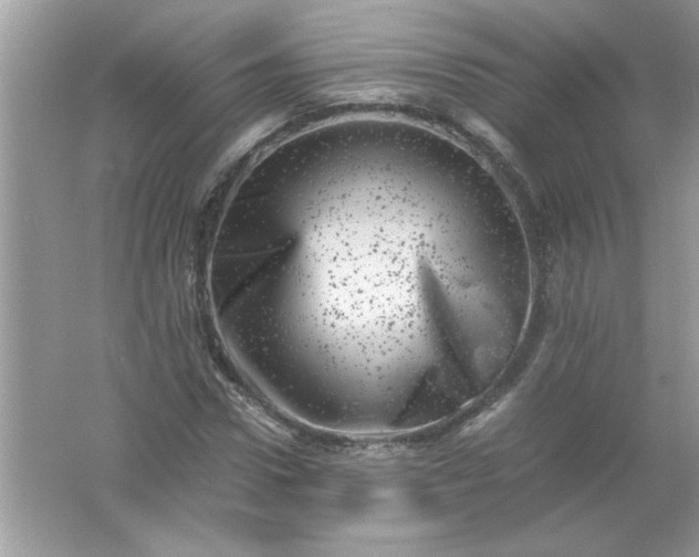 X0000061760922200512161739