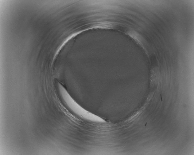 X0000061760923200512161739