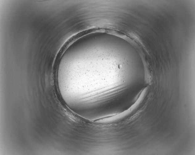 X0000061760924200512161739