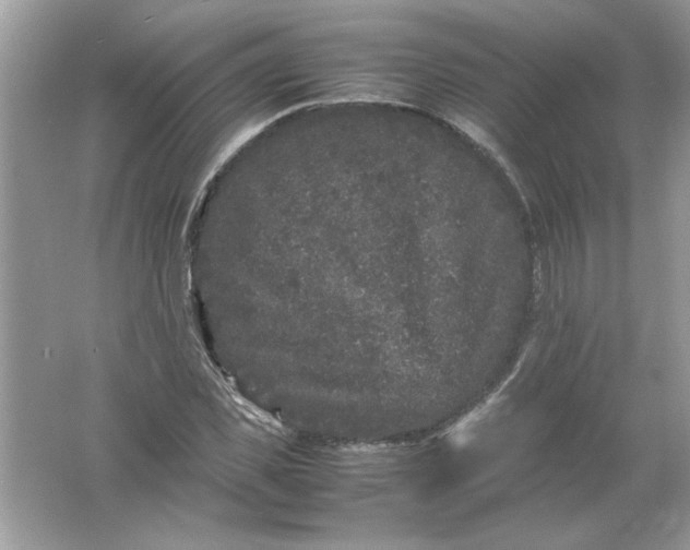 X0000061760925200512161739