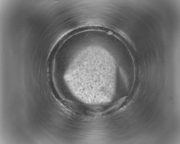 X0000061760926200512161739