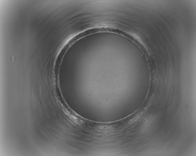 X0000061760927200512161739