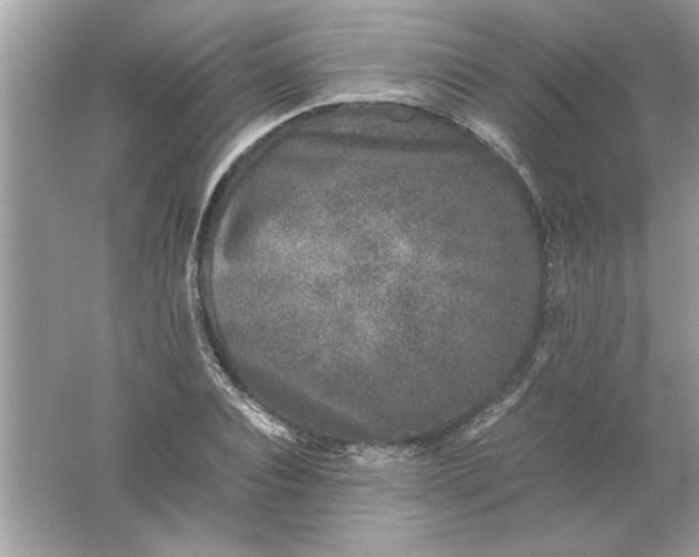 X0000061760928200512161739