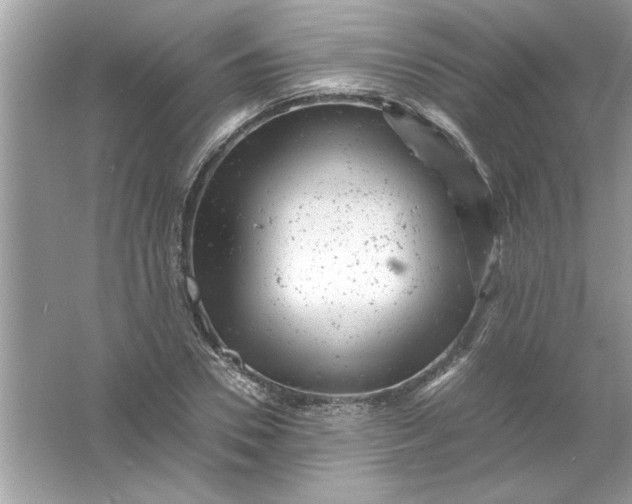 X0000061760930200512161739