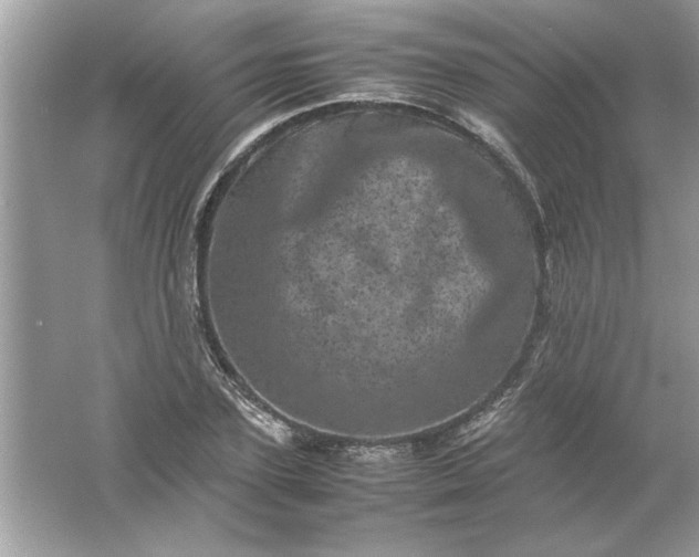 X0000061760931200512161739