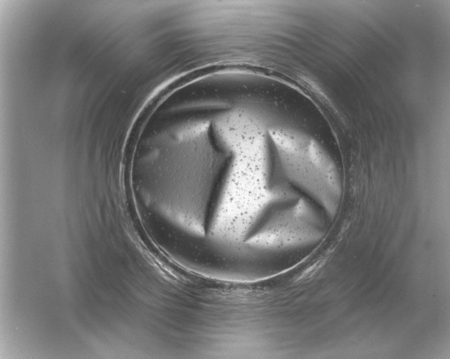 X0000061760932200512161739